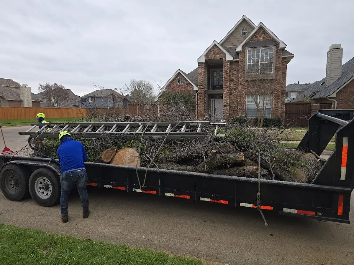 Expert Lot Clearing with proper safety equipment in Creswell